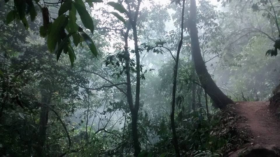 camino a las cataratas
